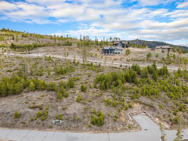 650 Shoshoni Ln, Granby, CO 80446 - photo 4