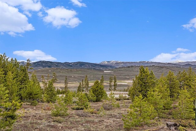 650 Shoshoni Ln, Granby, CO 80446 - photo 19