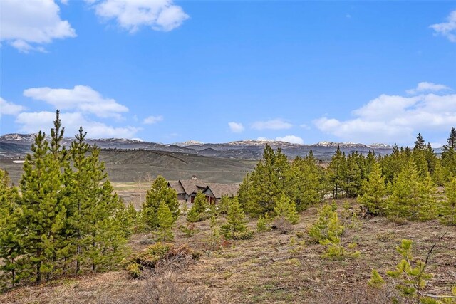 650 Shoshoni Ln, Granby, CO 80446 - photo 17