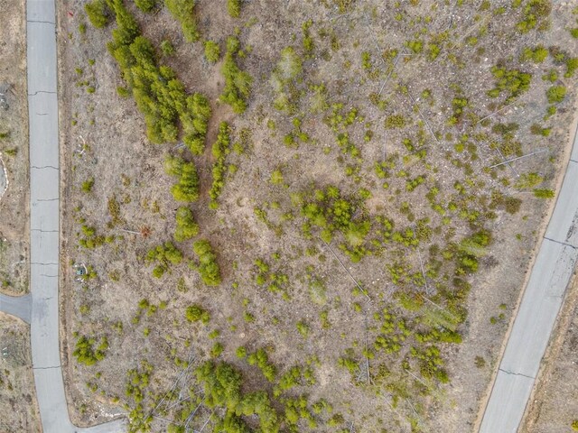 650 Shoshoni Ln, Granby, CO 80446 - photo 10