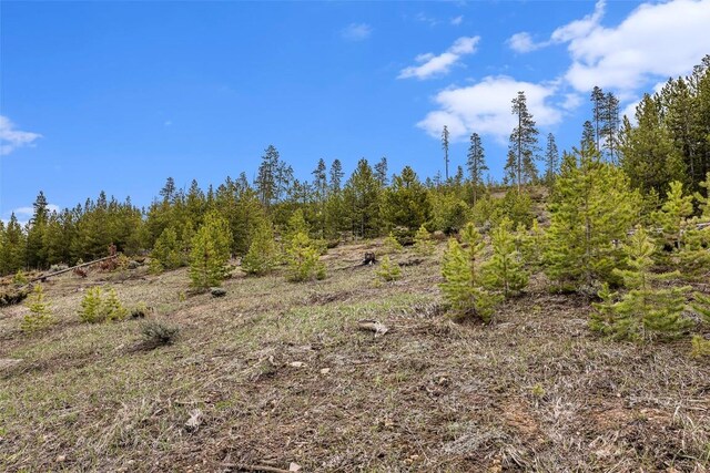 650 Shoshoni Ln, Granby, CO 80446 - photo 14