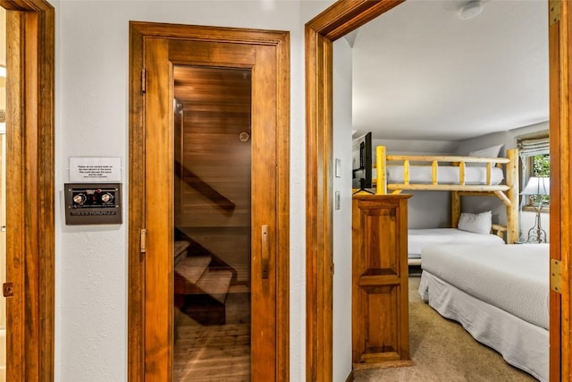 2755 Burgess Creek Rd Unit 2, Steamboat Springs, CO 80487 - photo 29