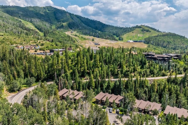 2755 Burgess Creek Rd Unit 2, Steamboat Springs, CO 80487 - photo 2