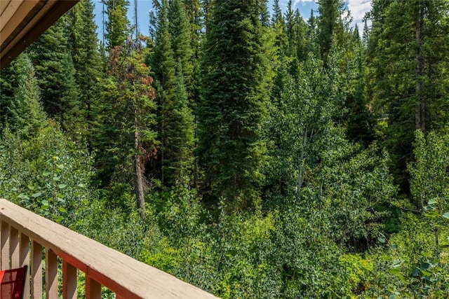 2755 Burgess Creek Rd Unit 2, Steamboat Springs, CO 80487 - photo 33