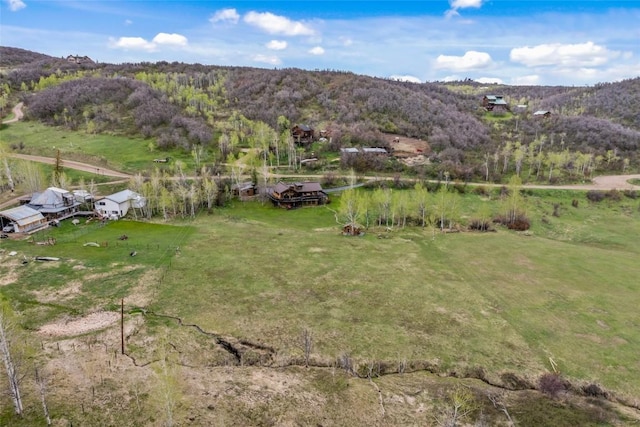 27845 County Road 41a, Steamboat Springs, CO 80487 - view of yard featuring a view of rural / pastoral area, a mountain view, and a forest view