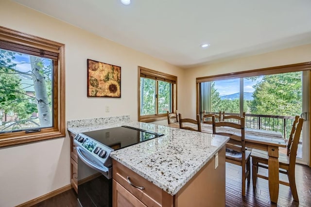 kitchen with a peninsula, electric range, dark wood-style flooring, baseboards, and light stone counters