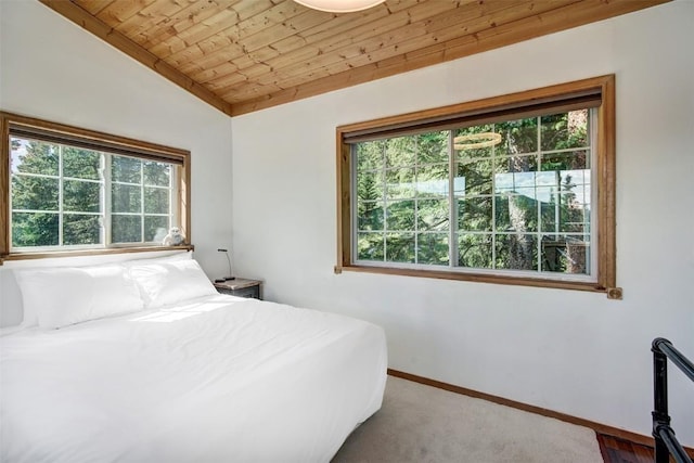 926 Nuthatch Dr, Alma, CO 80420 - photo 23
