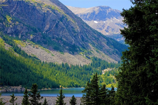 926 Nuthatch Dr, Alma, CO 80420 - photo 4