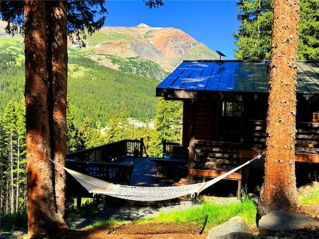 926 Nuthatch Dr, Alma, CO 80420 - photo 11