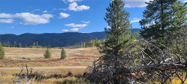 33653 Seneca Trl, Oak Creek, CO 80467