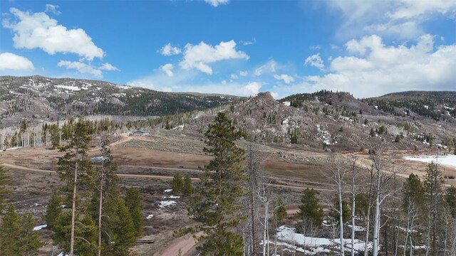 33653 Seneca Trl, Oak Creek, CO 80467