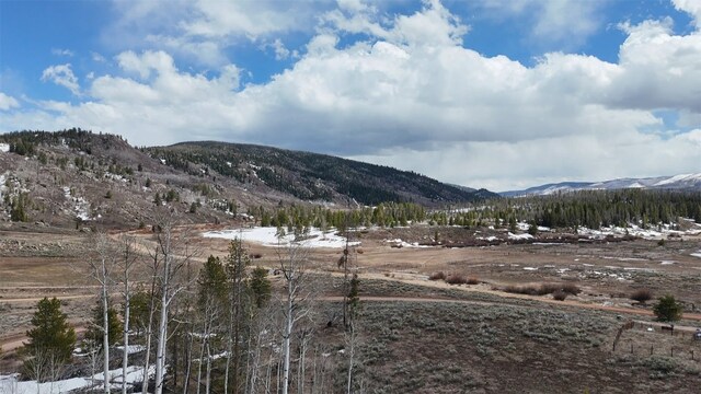 33653 Seneca Trl, Oak Creek, CO 80467