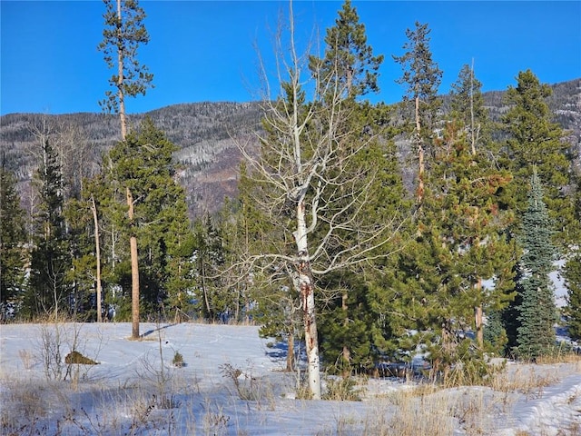 33653 Seneca Trl, Oak Creek, CO 80467