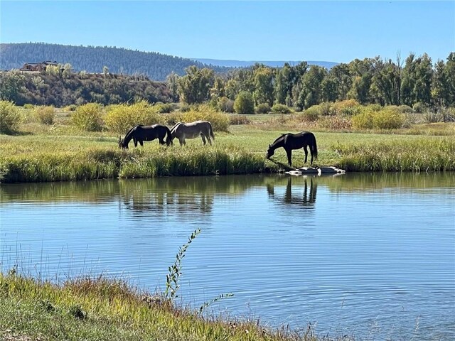 27095 Fire Song Rd, Steamboat Springs, CO 80487