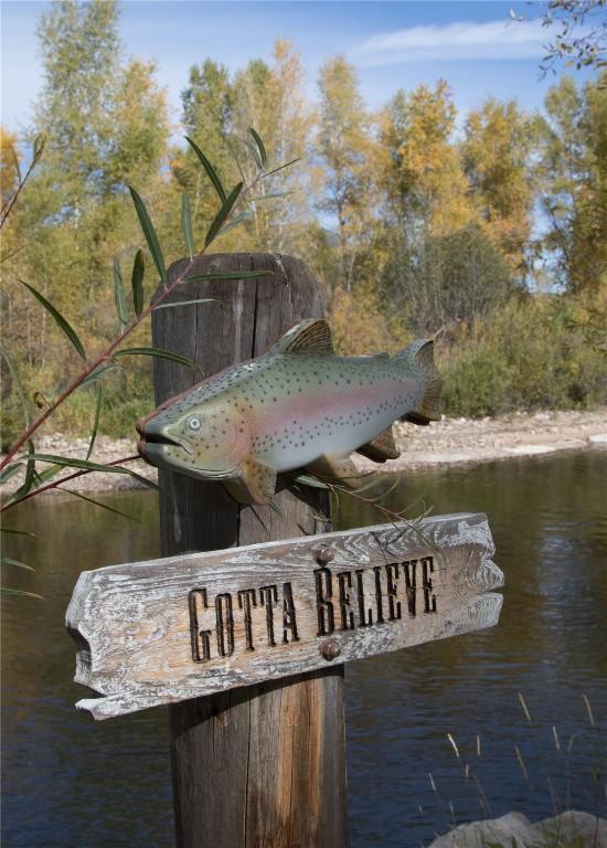 27095 Fire Song Rd, Steamboat Springs, CO 80487