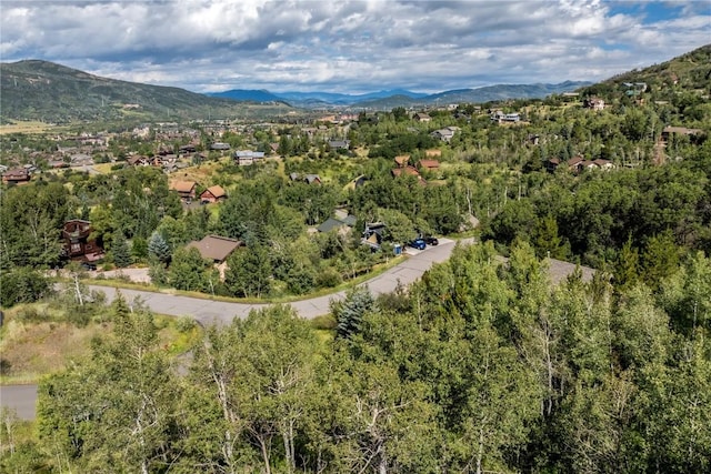 bird's eye view with a mountain view