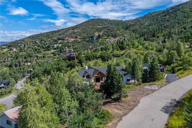 birds eye view of property featuring a mountain view