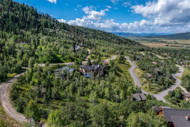 aerial view with a mountain view