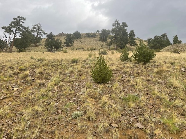 901 Elkhorn View Dr, Como, CO 80432