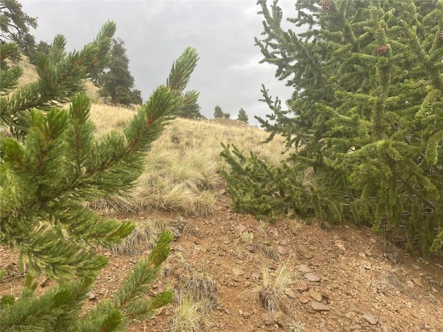 901 Elkhorn View Dr, Como, CO 80432