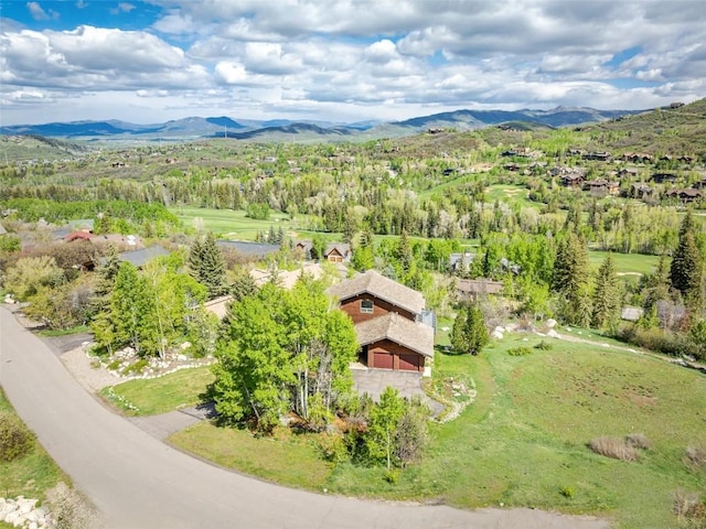 2280 Clubhouse Dr, Steamboat Springs, CO 80487 - photo 1