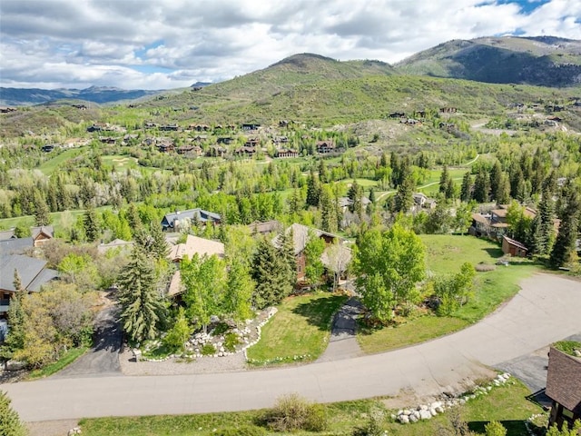 2280 Clubhouse Dr, Steamboat Springs, CO 80487 - photo 38