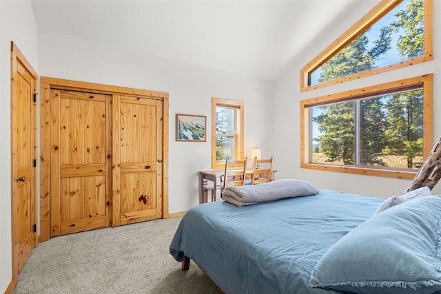 1205 Mountain View Dr, Fairplay, CO 80440 - bedroom with carpet floors and high vaulted ceiling
