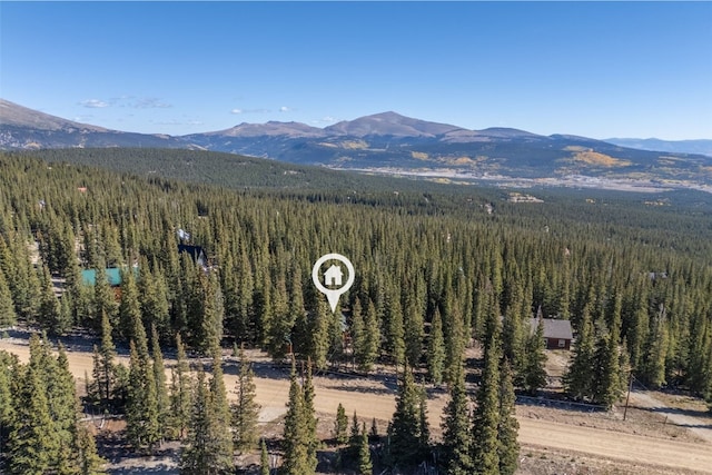 1205 Mountain View Dr, Fairplay, CO 80440 - mountain view with a heavily wooded area
