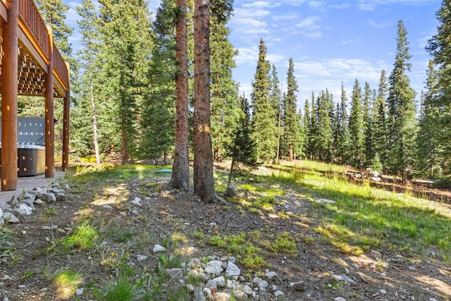 1205 Mountain View Dr, Fairplay, CO 80440 - view of yard