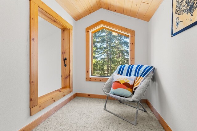 1205 Mountain View Dr, Fairplay, CO 80440 - sitting room with vaulted ceiling, baseboards, carpet, and wooden ceiling