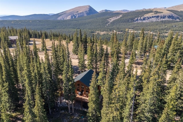 1205 Mountain View Dr, Fairplay, CO 80440 - mountain view featuring a forest