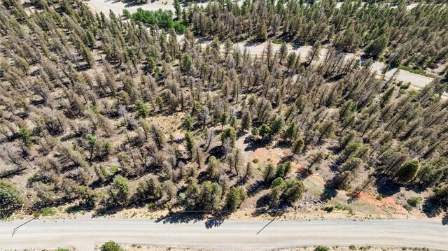 1050 Middle Fork Vis, Fairplay, CO 80440 - photo 10