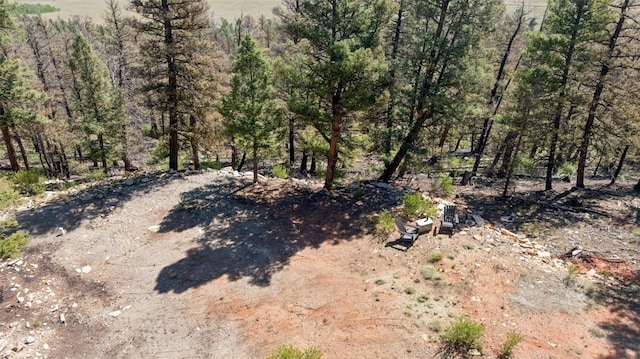 1050 Middle Fork Vis, Fairplay, CO 80440 - photo 8