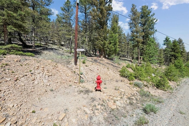 1050 Middle Fork Vis, Fairplay, CO 80440 - photo 14