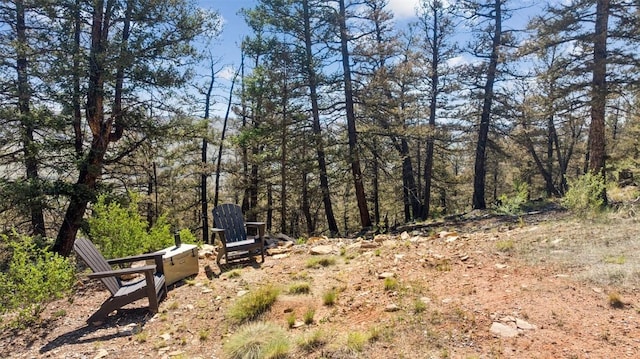 1050 Middle Fork Vis, Fairplay, CO 80440 - photo 5