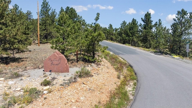 1050 Middle Fork Vis, Fairplay, CO 80440 - photo 13