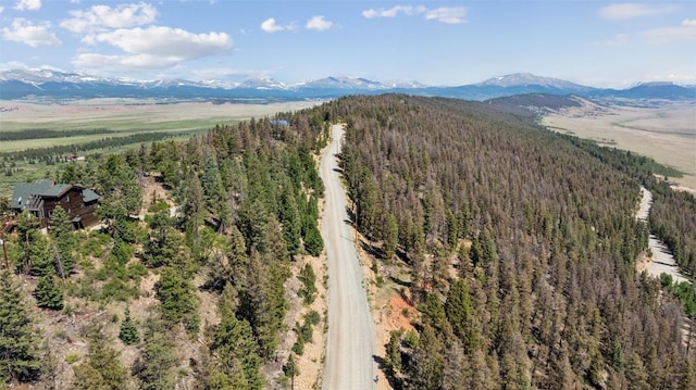 1050 Middle Fork Vis, Fairplay, CO 80440 - photo 9
