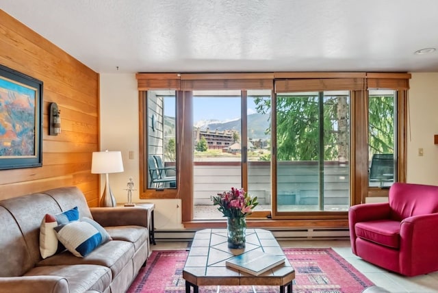 175 Argentine Ct Unit 1513, Keystone, CO 80435 - living room featuring healthy amount of natural light, wooden walls, a mountain view, baseboard heating, and a baseboard heating unit