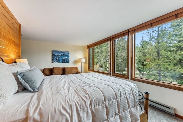 175 Argentine Ct Unit 1513, Keystone, CO 80435 - carpeted bedroom with baseboard heating