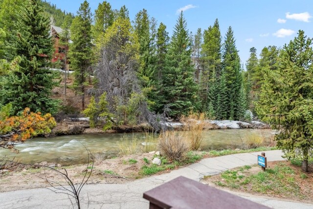 175 Argentine Ct Unit 1513, Keystone, CO 80435 - view of yard
