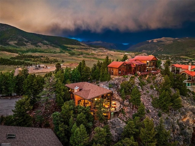 31 Pinnacle Ln, Dillon, CO 80435 - photo 47