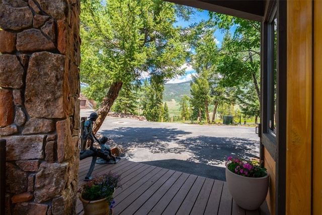 31 Pinnacle Ln, Dillon, CO 80435 - photo 26