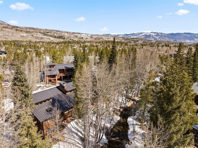 drone / aerial view with a mountain view