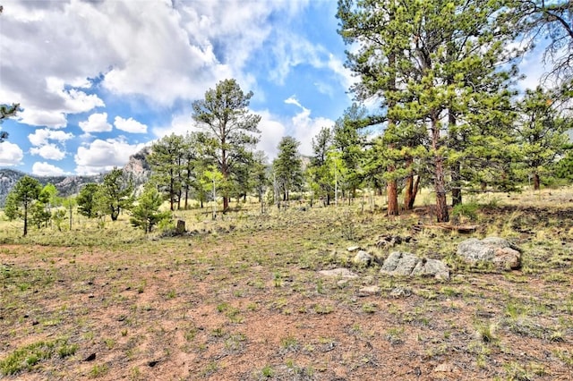 490 Teller St, Lake George, CO 80827 - view of local wilderness