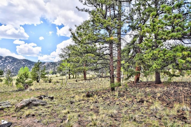 490 Teller St, Lake George, CO 80827 - view of local wilderness featuring a mountainous background