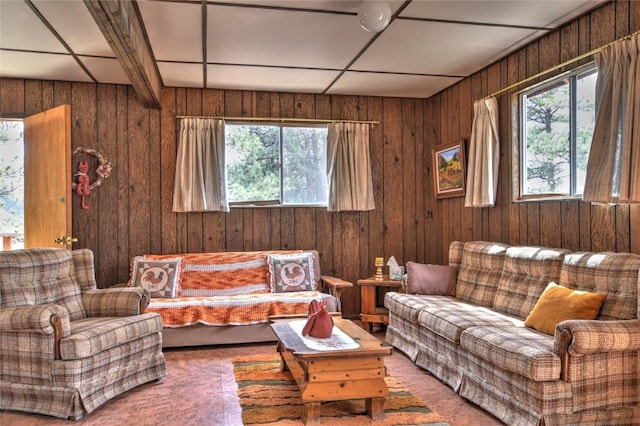 490 Teller St, Lake George, CO 80827 - living area with healthy amount of natural light and wooden walls