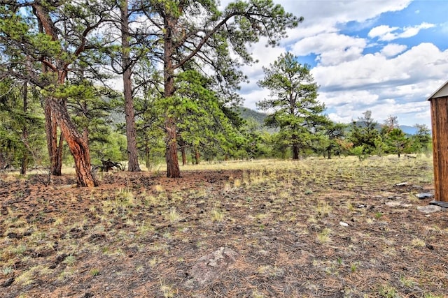 490 Teller St, Lake George, CO 80827 - view of yard