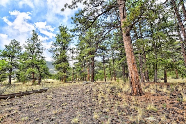 490 Teller St, Lake George, CO 80827 - view of undeveloped land