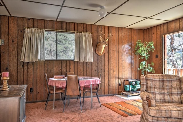 490 Teller St, Lake George, CO 80827 - dining area featuring wood walls