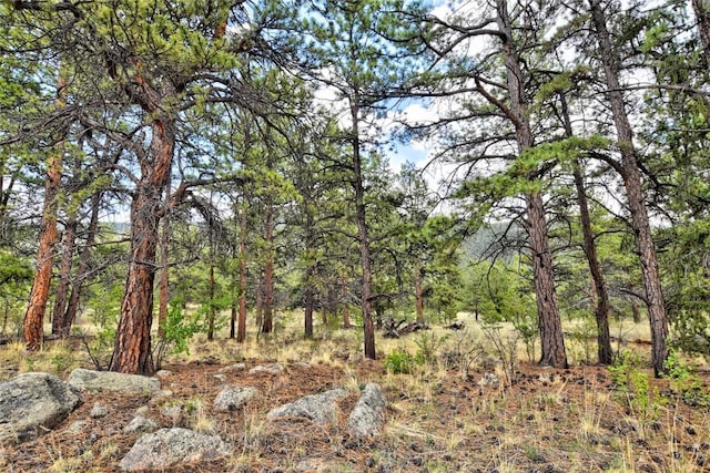 490 Teller St, Lake George, CO 80827 - view of undeveloped land